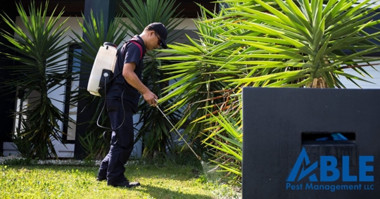 Pest control technician working outdoors