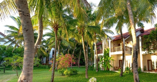 A yard with palm trees